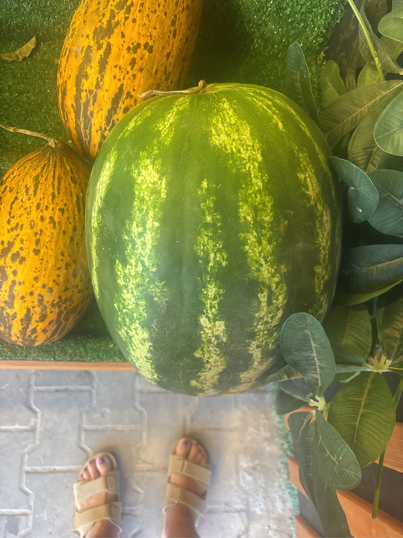 Melonen — Bild 5
