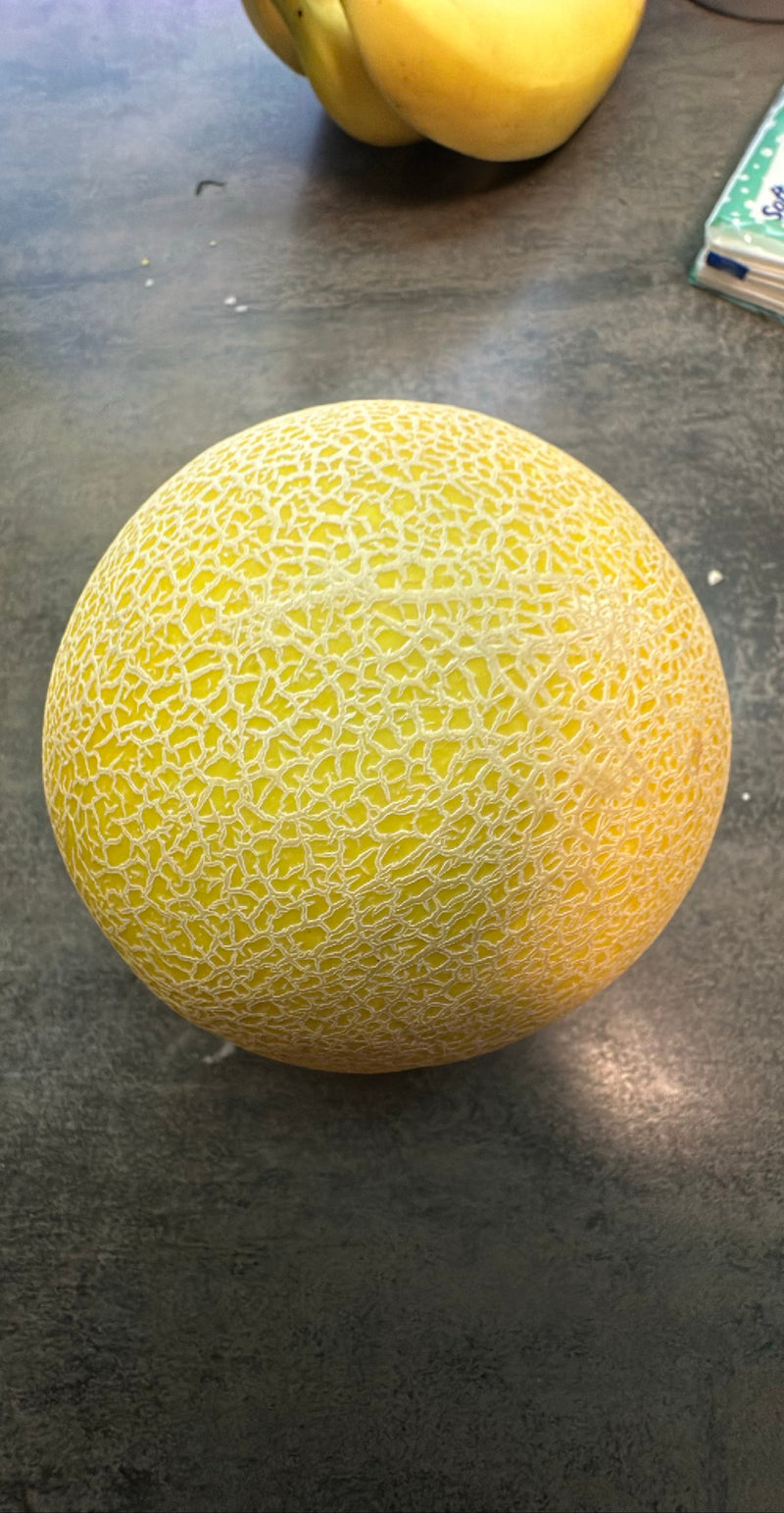 Zuckermelone — Bild 2