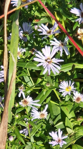 Astern — Bild 3