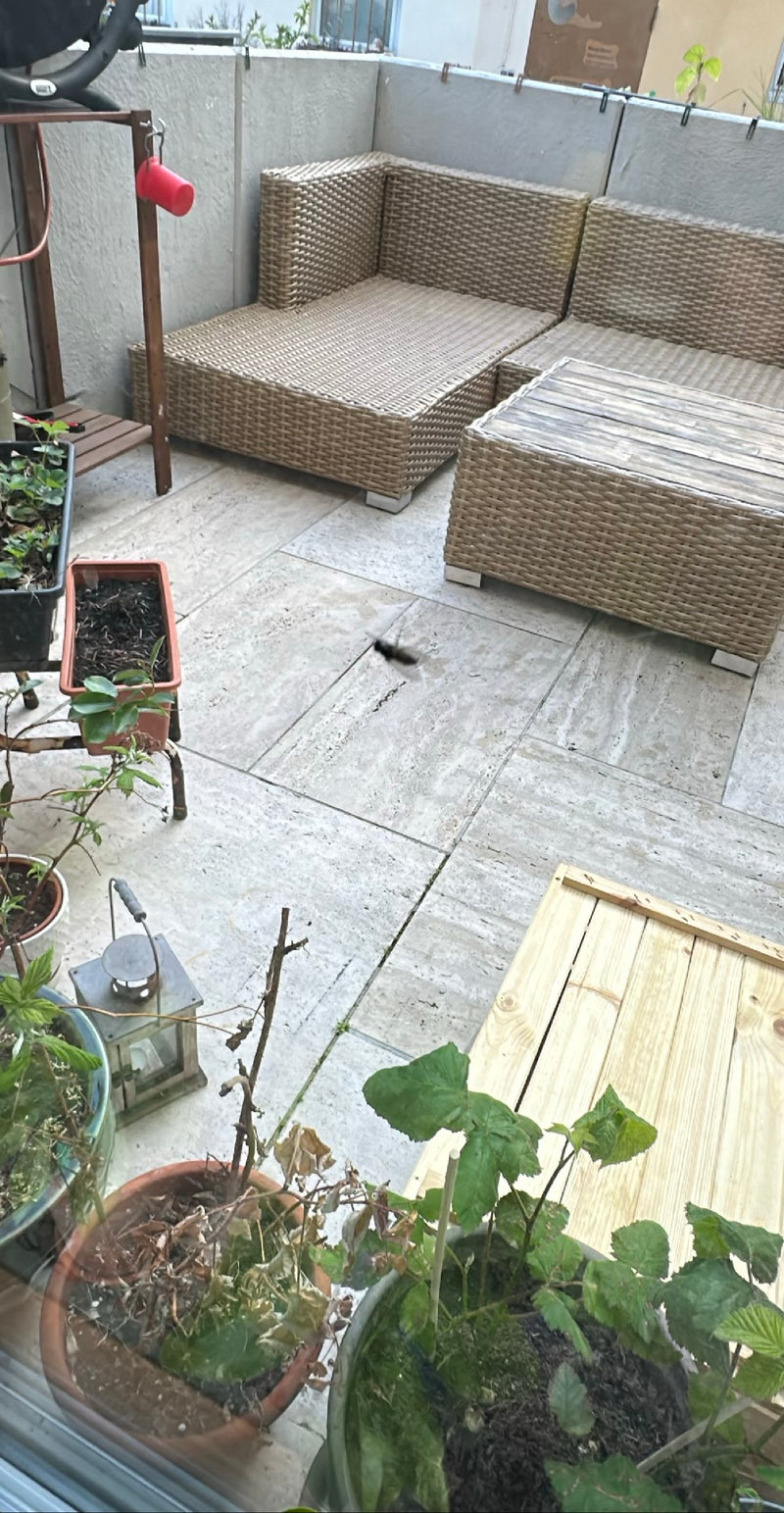 Fliegen — Bild 1