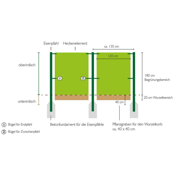 Aufbau-Skizze: Fertighecken-Elemente 120 cm breit zwischen Pfosten im Abstand von etwa 1,30 m, Wurzelbereich 20 cm in einem 40 × 40 cm Pflanzgraben