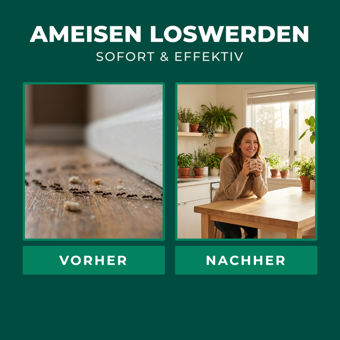 Ameisen loswerden – sofort & effektiv, Vorher/Nachher | finicon Avantgarde Ameisenködergel