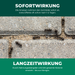 Sofort- & Langzeitwirkung bis zur Königin | finicon Avantgarde Ameisenködergel