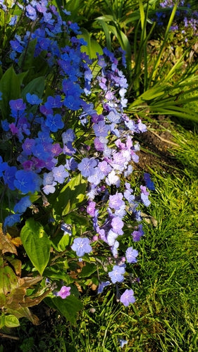 Gedenkemein — Bild 3 von 3