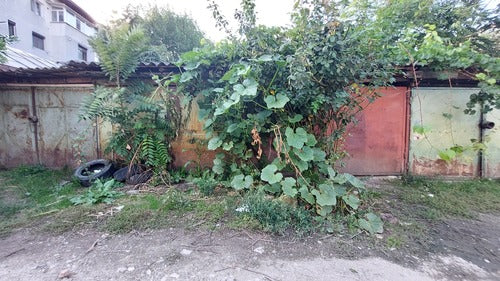 Kuerbis — Bild 1