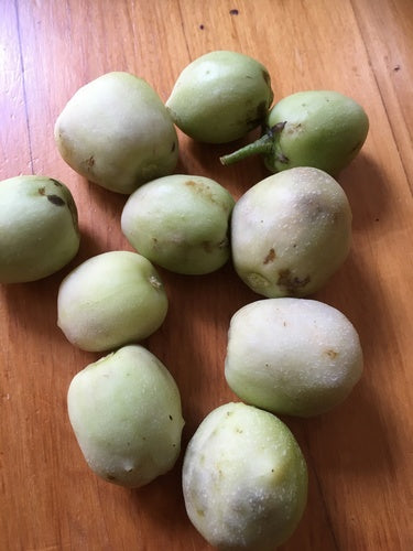 Pepino — Bild 1