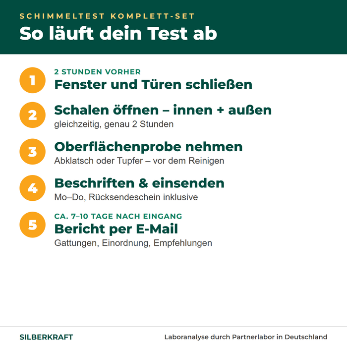 Ablauf Schimmeltest Komplett-Set: Schalen 2 Stunden öffnen, Oberflächenprobe nehmen, einsenden, Bericht nach 7–10 Tagen