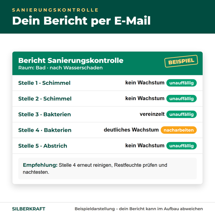 Beispiel eines Berichts zur Sanierungskontrolle mit Schimmelpilzen und Bakterien je Probestelle