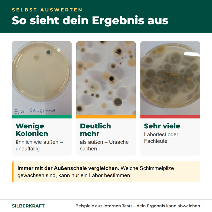 So sieht das Ergebnis aus: wenige, deutlich mehr und sehr viele Kolonien