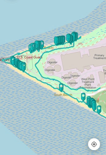 Strandhafer — Bild 2