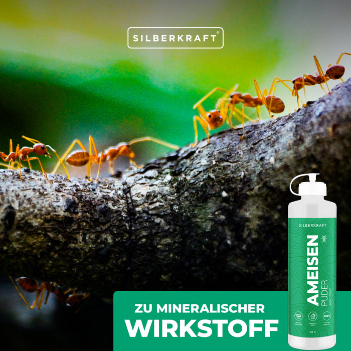 Ameisen-frei Pulver – Ameisenmittel für Innen & Außen – 100% Kieselgur – Alternative zu Ameisenköder und Ameisenspray - Silberkraft