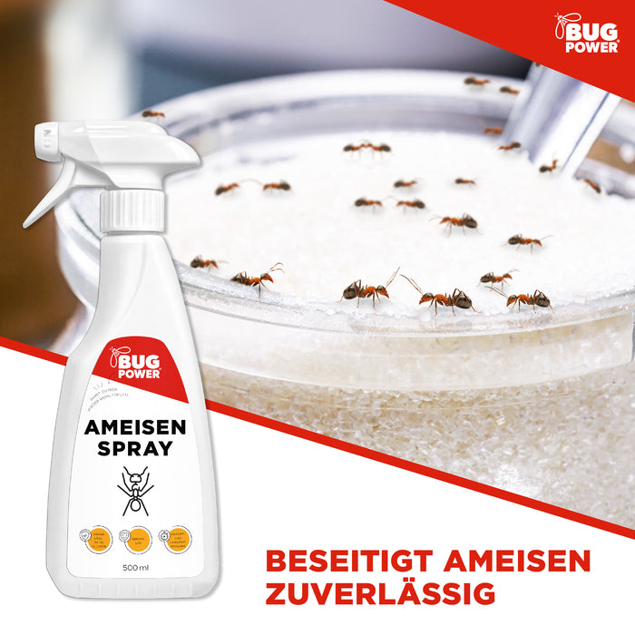 BugPower Ameisen Spray  - effektiv gegen Ameisen - Silberkraft