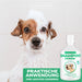 Neemöl Hundeshampoo Hunde & Welpen - Pflegeprodukt sensitiv Shampoo gegen Juckreiz und Geruch, Shampoo Hunde für gepflegtes Fell - Silberkraft