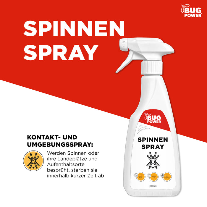 BugPower Spinnen Spray - effektiv gegen Spinnen - Silberkraft