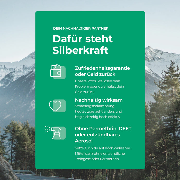 Wespenfalle Set - Silberkraft